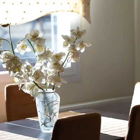 Apartament άνεση και ευκολία, σπίτι συκιές. Salonic