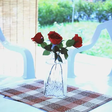 πολυτελές Holiday home Mesimerion